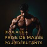 Beginners - Cutting + Bulking
