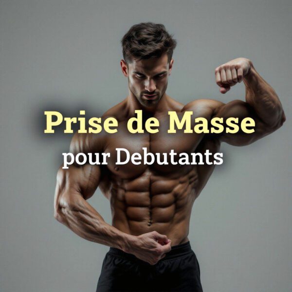 Beginners – Muscle Mass Gains